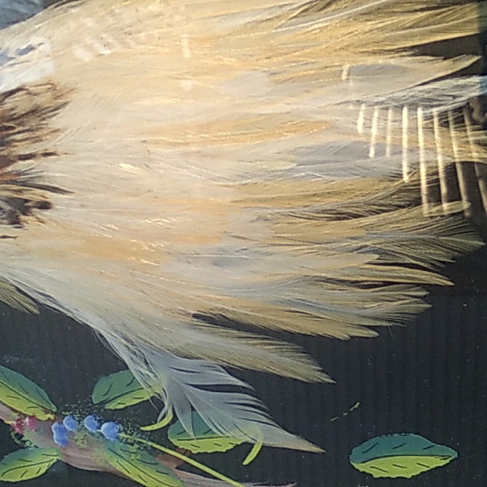 Vintage PEACOCK Framed ART Bird Distressed Wood FRAME πΌοΈ 19" X 11" - Picture 10 of 16